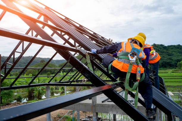 Best Flat Roof Repair Services  in Osceola, WI