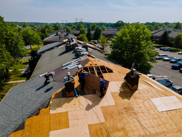Best Roof Maintenance Services  in Osceola, WI
