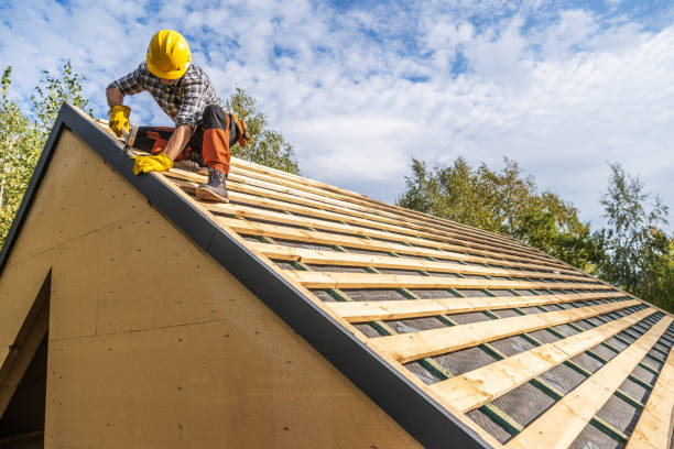 Best Metal Roofing Contractor  in Osceola, WI