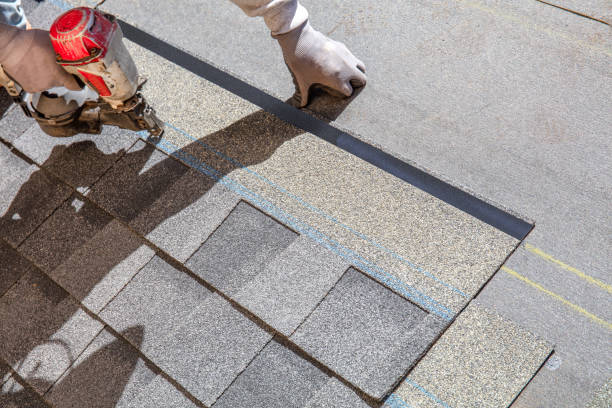 Best Metal Roofing Contractor  in Osceola, WI